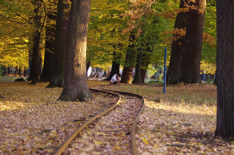 Trenuletul pentru copii din Parcul Central din Baia Mare