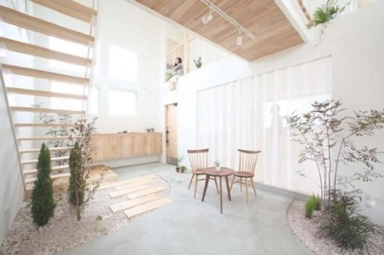 plante de apartament