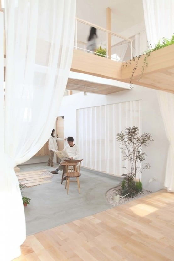 plante de apartament
