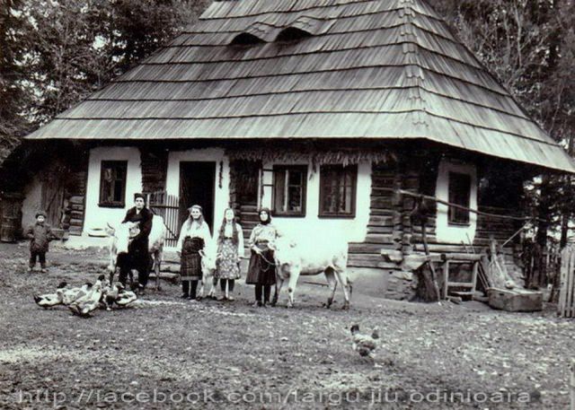 casa din anii 50