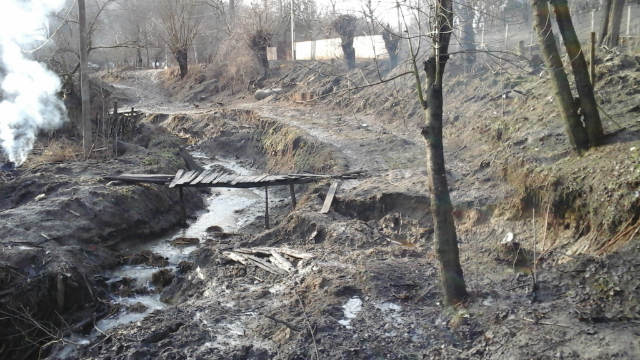 firul de iarba Virgil Goaga