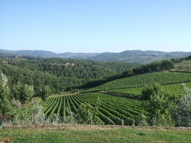 Fermă - Toscana