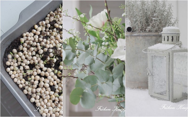 Design scandinav suedez