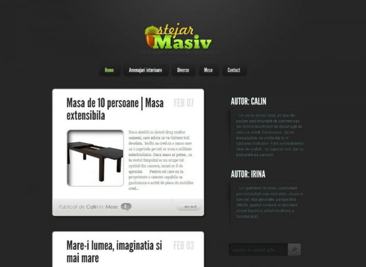 blogul StejarMasiv.ro