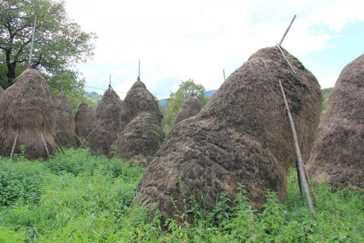 donatie pentru Mara, Maramures