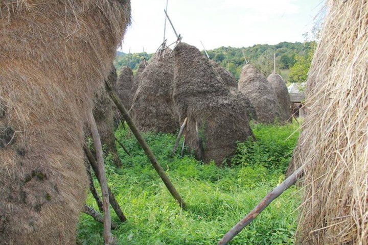 donatie pentru Mara, Maramures