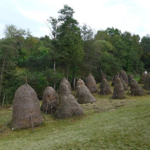 donatie pentru Mara, Maramures