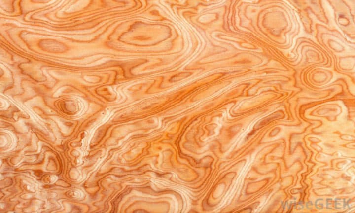 wood burl