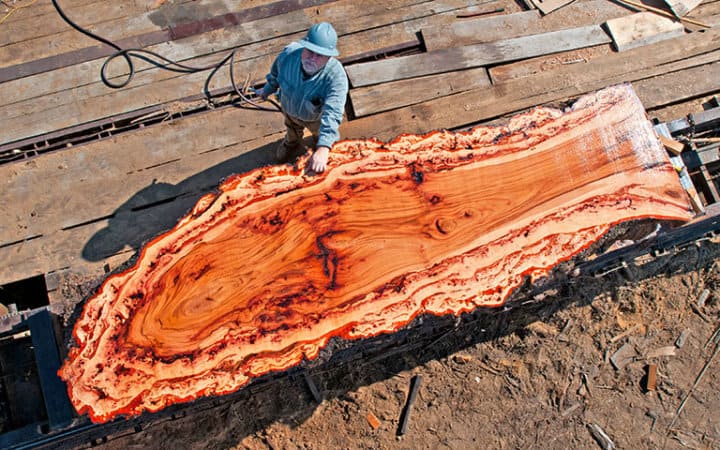 wood burl