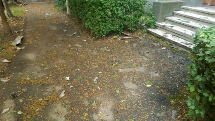 furtuna in Baia Mare