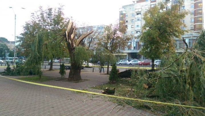furtuna in Baia Mare