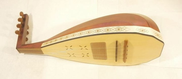 cobza 5