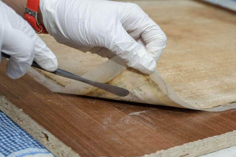restaurare tablou Dan Bajenaru
