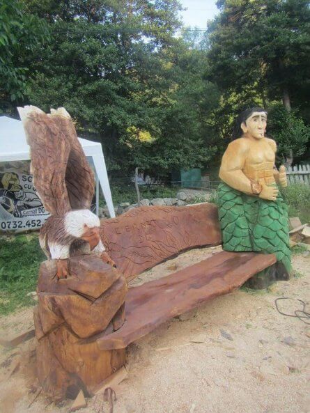 Festivalul sculptorilor cu drujba 2017
