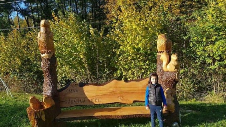 Festivalul sculptorilor cu drujba 2017
