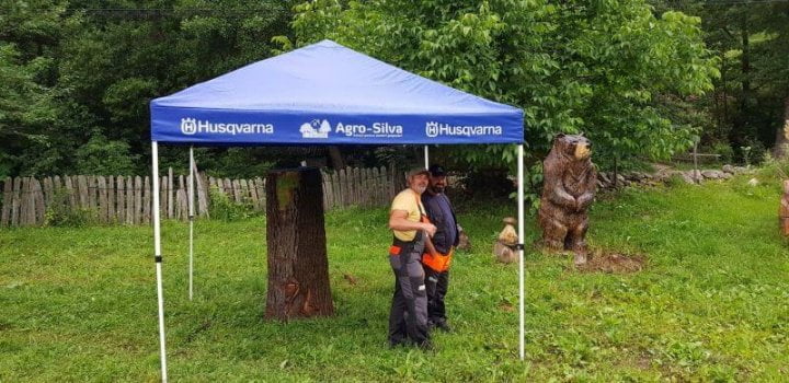 sculptura in lemn cu drujba Cerna 2018