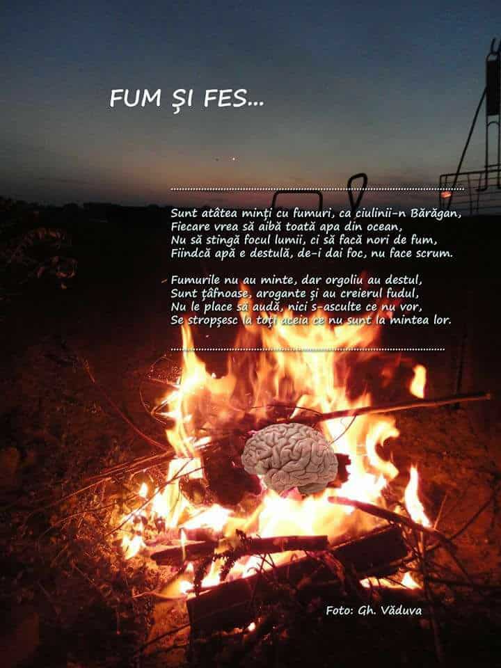 fum si fes Gheorghe Vaduva