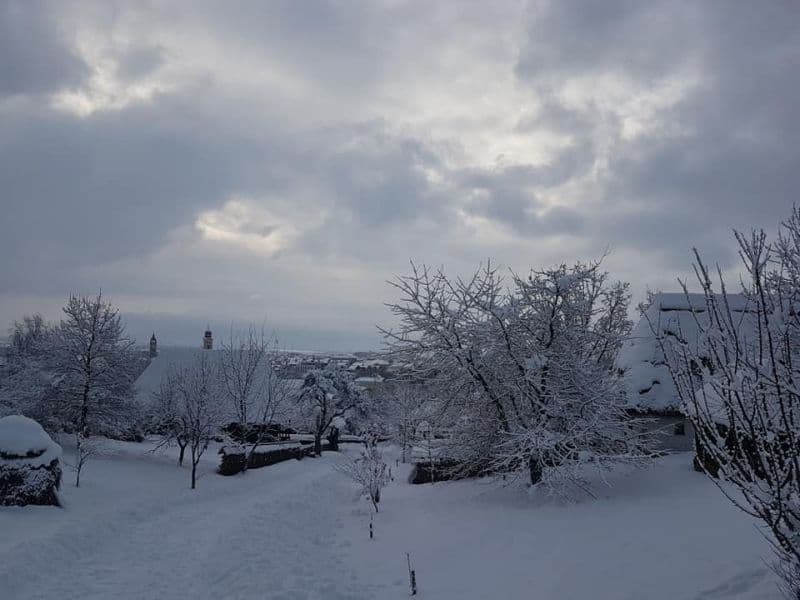 partie de sanie pentru copii la Muzeul Satului din Baia Mare