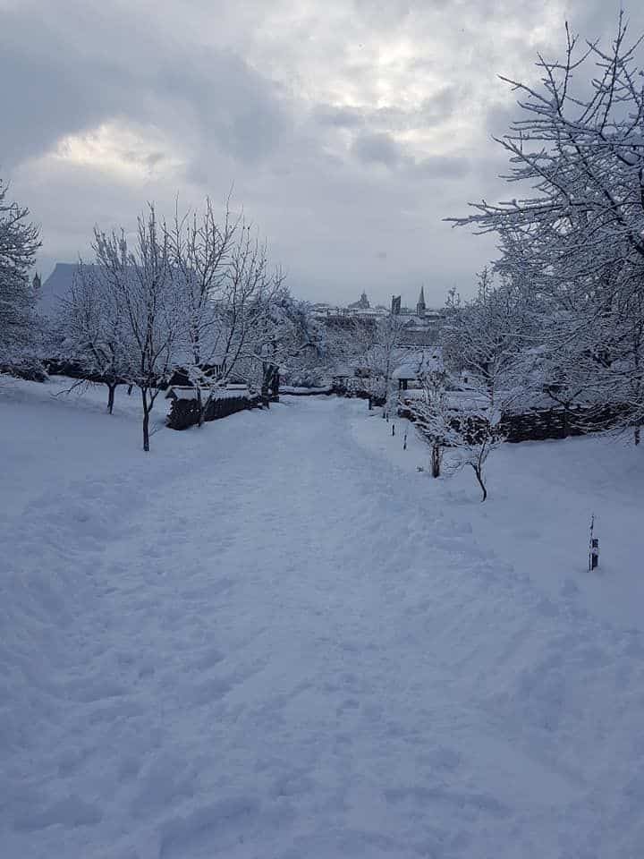 partie de sanie pentru copii la Muzeul Satului din Baia Mare