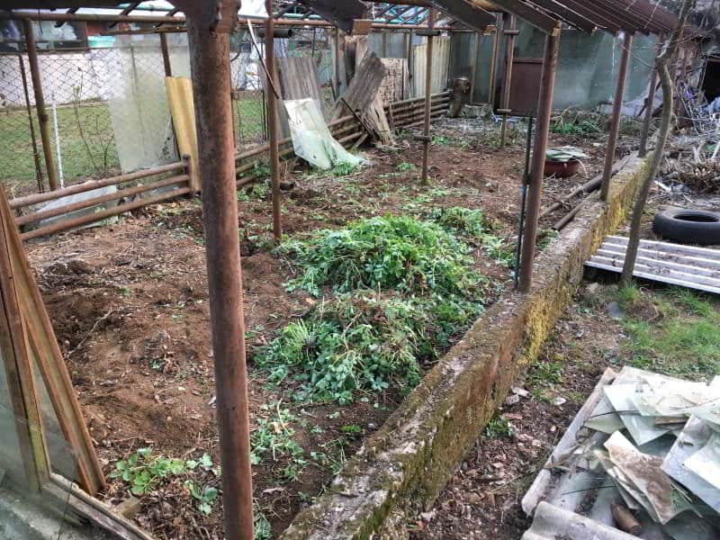 Solar abandonat