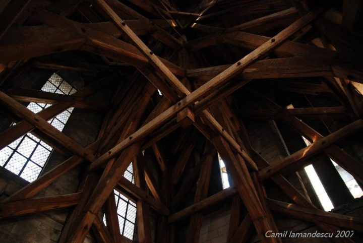 forêt charpente de Notre Dame (1)