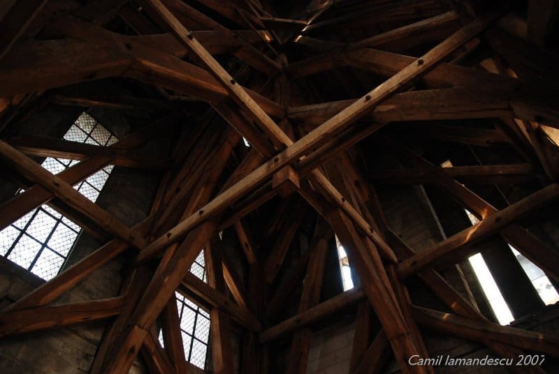 forêt charpente de Notre Dame (1)
