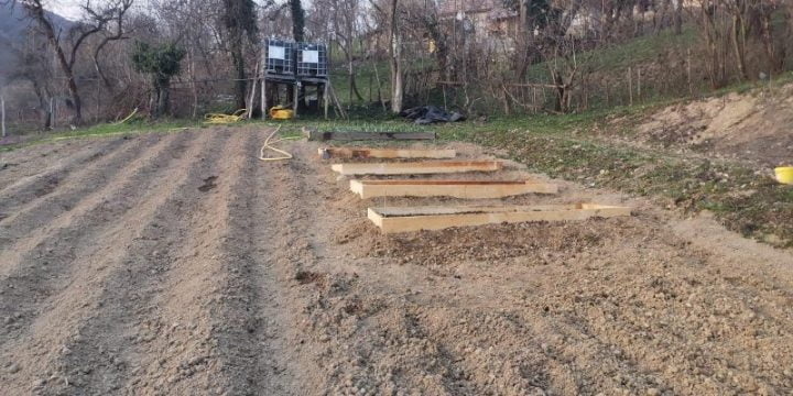 livada de la Baia Sprie - straturi inaltate
