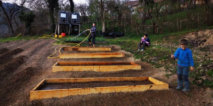 mutarea la țară- raised beds