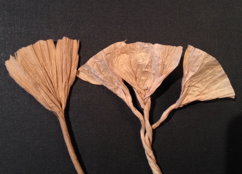 paper cord