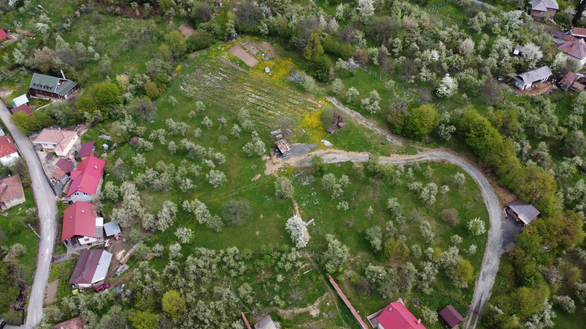 DCIM\100MEDIA\DJI_0013.JPG