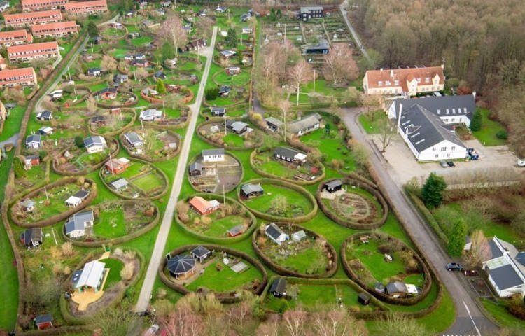 Naerum-Allotment-Gardens-2