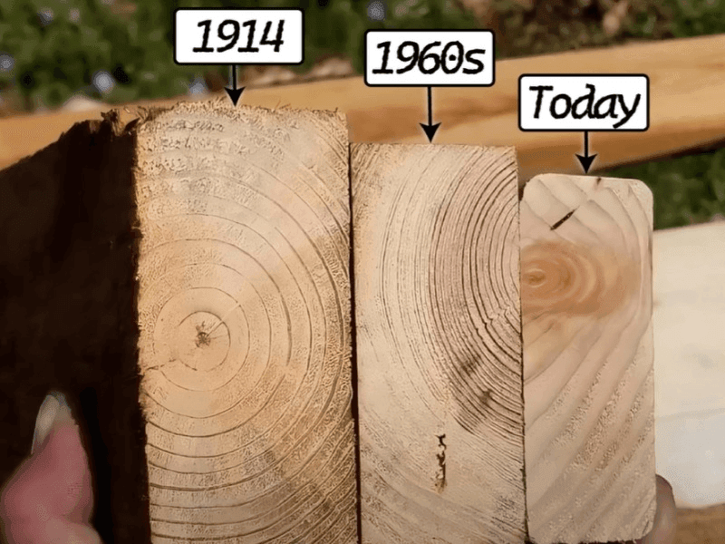 2x4 sau 38x89? Lemn pentru construcții 3 2x4 - in timp